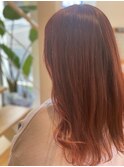 ベビーピンク/ファイバープレックスカラー/30代40代50代