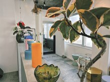 パーヴ(palve)の雰囲気（店内）