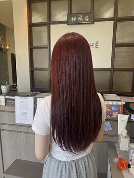 ブランシェ神領店 ピンクラベンダー
