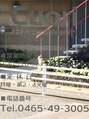 クオーリ(Cuori)/チョッケン