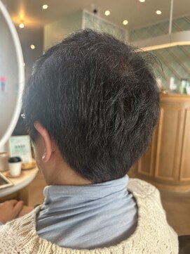 アンフィ 矢向(Anphi) 1-1 ショート