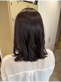 【Nosh】バイオレットブラウン