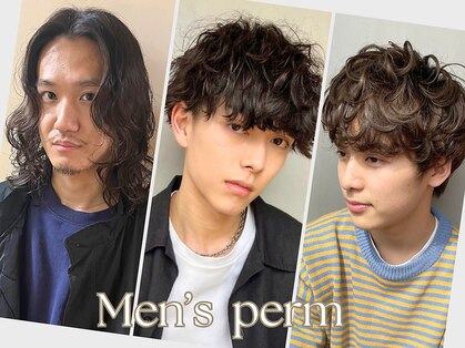 リンネ(Lin'ne)の写真