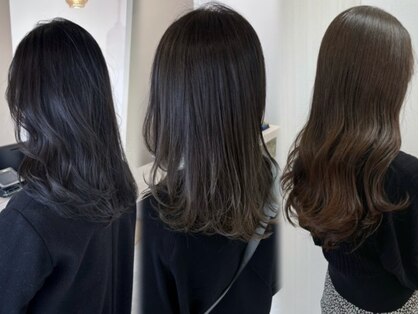 ミモザ(MIMOSA)の写真