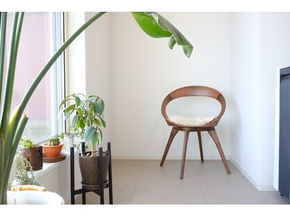 きいろとみどりとニワ(きいろとみどりとniwa)の写真