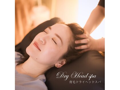 マフネ(Mafune)の写真