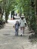 【ママ、パパ応援ヘッドスパ】生はちみつor泡ヘッドスパ＋はちみつTr￥7000