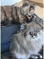オフカイ 池袋店(OFF-KAi!!)&nbsp;我が家の犬猫 最高の癒しです☆