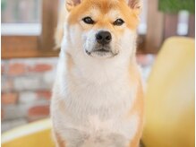 アトレ(atre)の雰囲気（看板犬U・x・U）