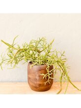 コモレビ(komorebi)&nbsp;阿部 彰