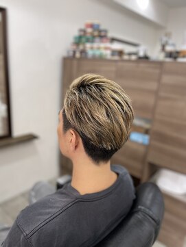 エーエイチ(aH.) メッシュカラー