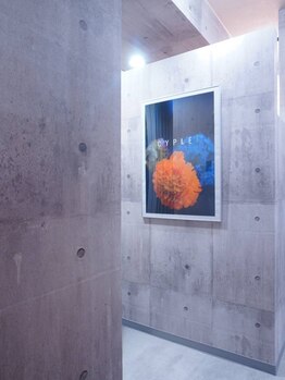 シプレアンドヘア(CYPLE & HAIR)の写真/【静岡駅徒歩2分】マンツーマン施術だからこそ時間をかけ、一人ひとりに丁寧なカウンセリングを行います。