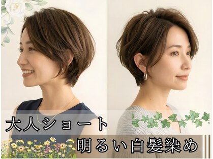 五感 鷹匠の写真