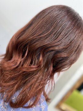 ラビス クローバー(Lovis clover) ラテコッタ　ミニウルフ