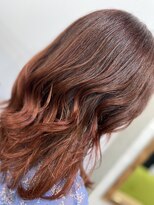 ラビス クローバー(Lovis clover) ラテコッタ ミニウルフ