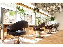 クララ 柏の葉T-SITE店(CLALA)の雰囲気（広く開放感のある店内は非日常空間♪[トリートメント/白髪染め]）