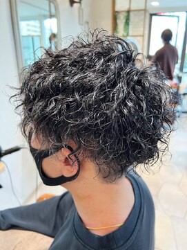 カルテット(Quartett) 【Quartett】 ハードスパイラル