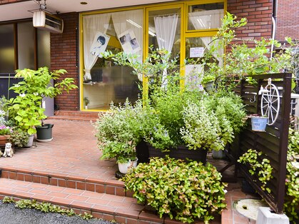 かみゆいの写真