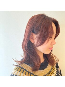 ニコラ(NICOLA) ミディアム