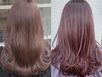 FUN　柏【ファン】