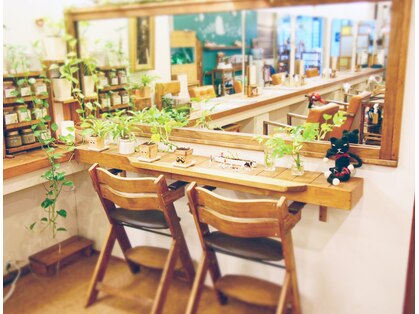 カナット(kanatt)の写真