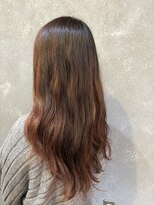 ボスコ 下北沢店(bosco) ローライト 《KOIKE》