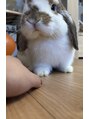 レモーリア 井口店&nbsp;ペットは耳タレうさぎです