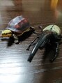 エッセンス 最近のガチャガチャはクオリティーが凄い♪