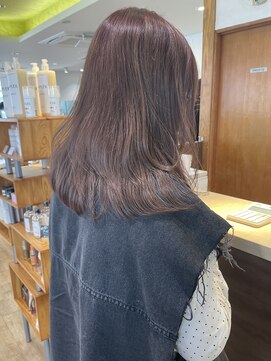 レクタ(recta) チョコレートブラウン ハーフブリーチブリーチなしダブルカラー