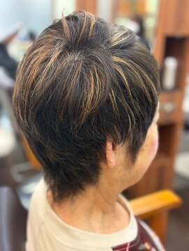 シーズンプラス(SEASON PLUS) 30代40代50代 白髪染め【SEASON＋野入】ショートレイヤーNO1０A