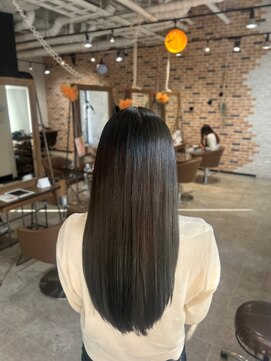 スペックホルダー(Spec Holder) オリーブブラウン10/30暗めカラー