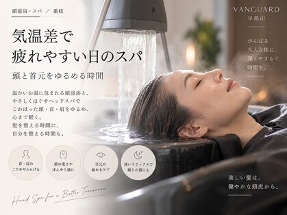 ヴァンガード(Vanguard)の写真