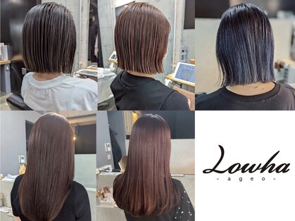 ローハ アゲオ(Lowha -ageo-)の写真