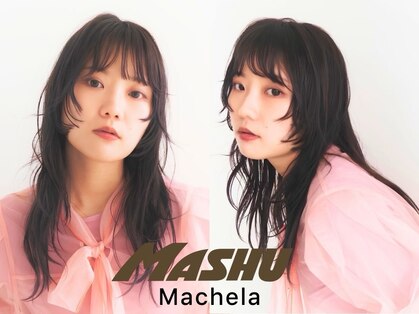 マッシュマシェラ(MASHU MACHELA)の写真