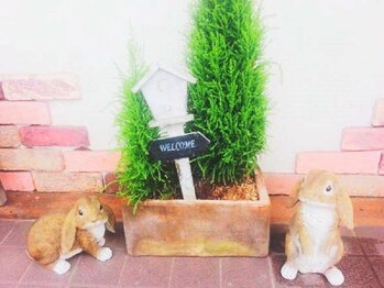 ステアビルトゥス