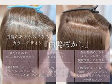 髪質改善×白髪ぼかしで白髪を活かし、カラーデザインと艶の両立