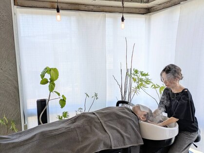 マルカ(MARCA)の写真