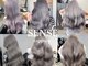 センス(SENSE.)の写真