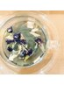 【鳥養】カット＋アーユルヴェーダハーブオイルスパ　￥11,000→