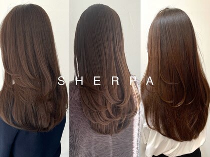 シェルパ(SHERPA)の写真