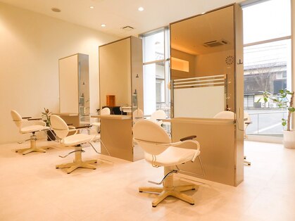 シャララ(Sha-la-la)の写真