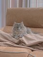 エピス 麻生1号店(epice) おうちに猫ちゃんが居ます^^動物は癒しですよね!