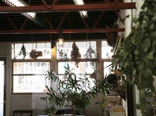 サロンウエノ(Salon Ueno)の雰囲気（○緑溢れる癒しの空間●）