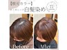 新規◇白髪染め【地肌/髪に優しいオーガニック】根元カラー◎6600円→6000円