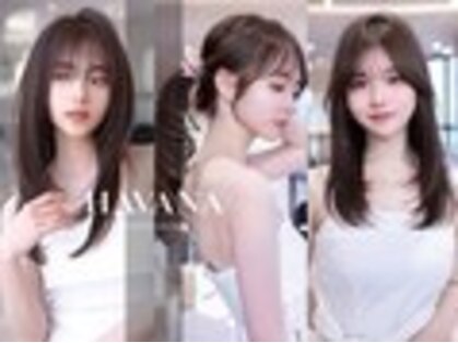 ドットハリス(.Hallis)の写真