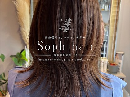 ソフ(soph)の写真