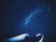 クラルス(CLARUS)の写真/まるで別世界…。非日常を味わえる幻想空間で、心も髪も癒される極上ヘッドスパ★