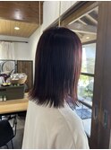 ピンクラベンダーカラー