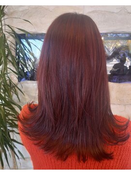 エヌ ヘアー(N-hair) レッドヘアー