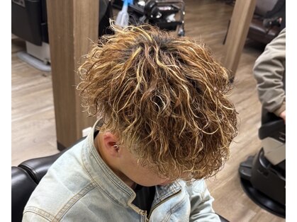 スケッチ(SKETCH)の写真